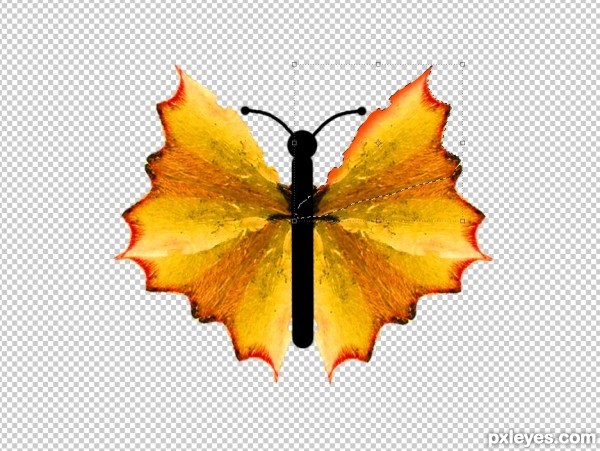 Creation of Butterfly: Step 10